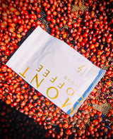 Mont Coffee - Geisha Coffee Ecuador, Whole Bean, Fresh Rosted, Premium Ecuadorian Specialty Geisha Roasted Coffee Beans | Awarded 88+ (12oz