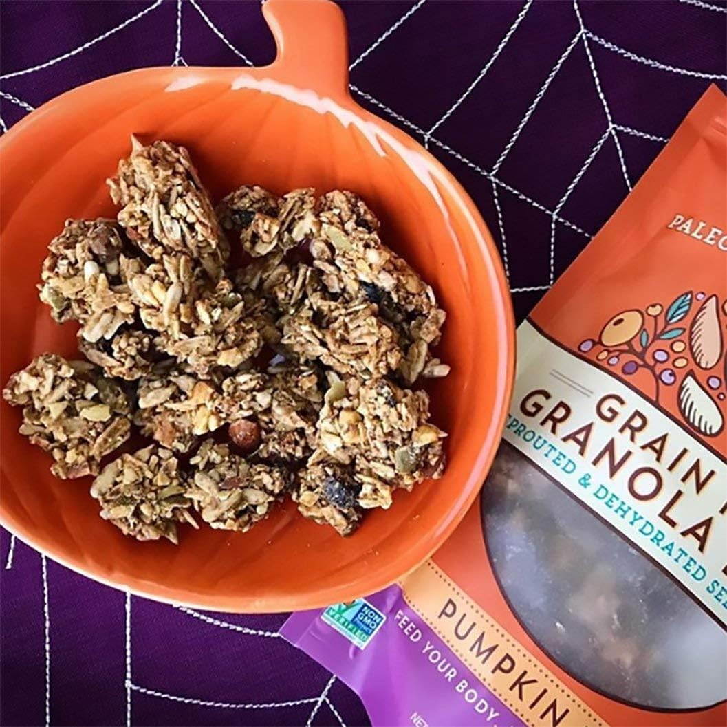 Lark Ellen Farm Grain-Free Granola, Certified Organic Raw Sprouted Vegan Clusters, Paleo & Crunchy Gluten-Free Bites for Cereal or Yogurt, Pumpkin Fig