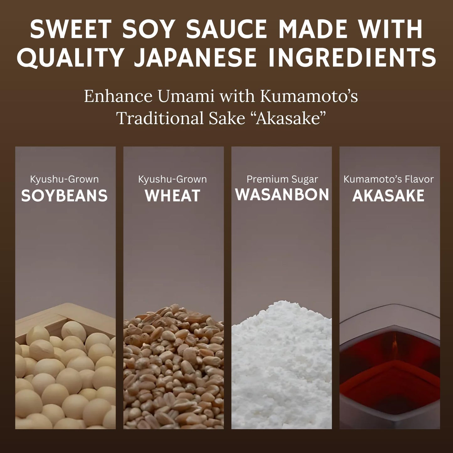 Fundodai HEISEI Soy Sauce - Premium Sweet Soy Sauce, Authentic Japanese Flavor | Made with Kyushu Soybeans and Wheat | Product of Japan, 3.38 Fl oz