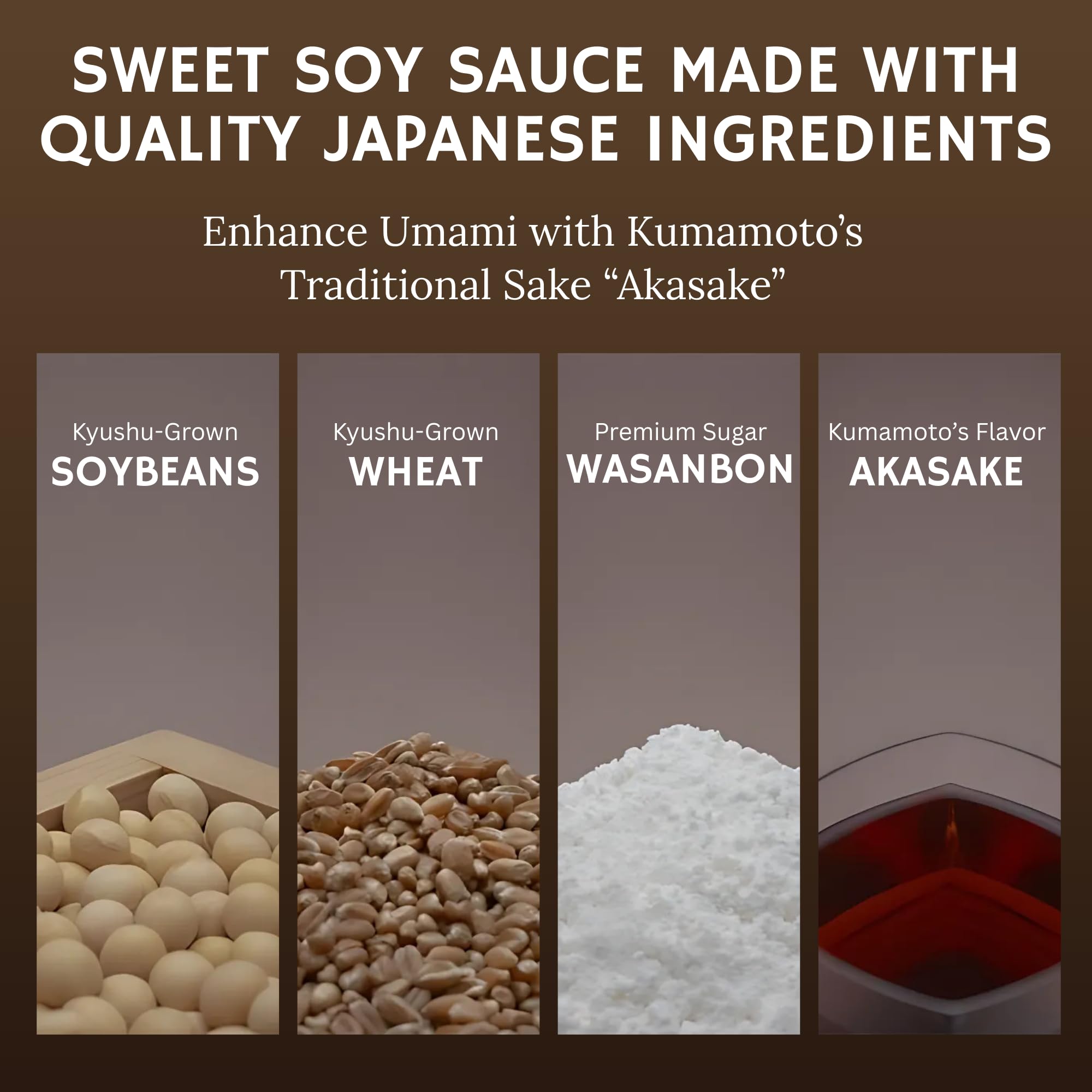 Fundodai HEISEI Soy Sauce - Premium Sweet Soy Sauce, Authentic Japanese Flavor | Made with Kyushu Soybeans and Wheat | Product of Japan, 3.38 Fl oz
