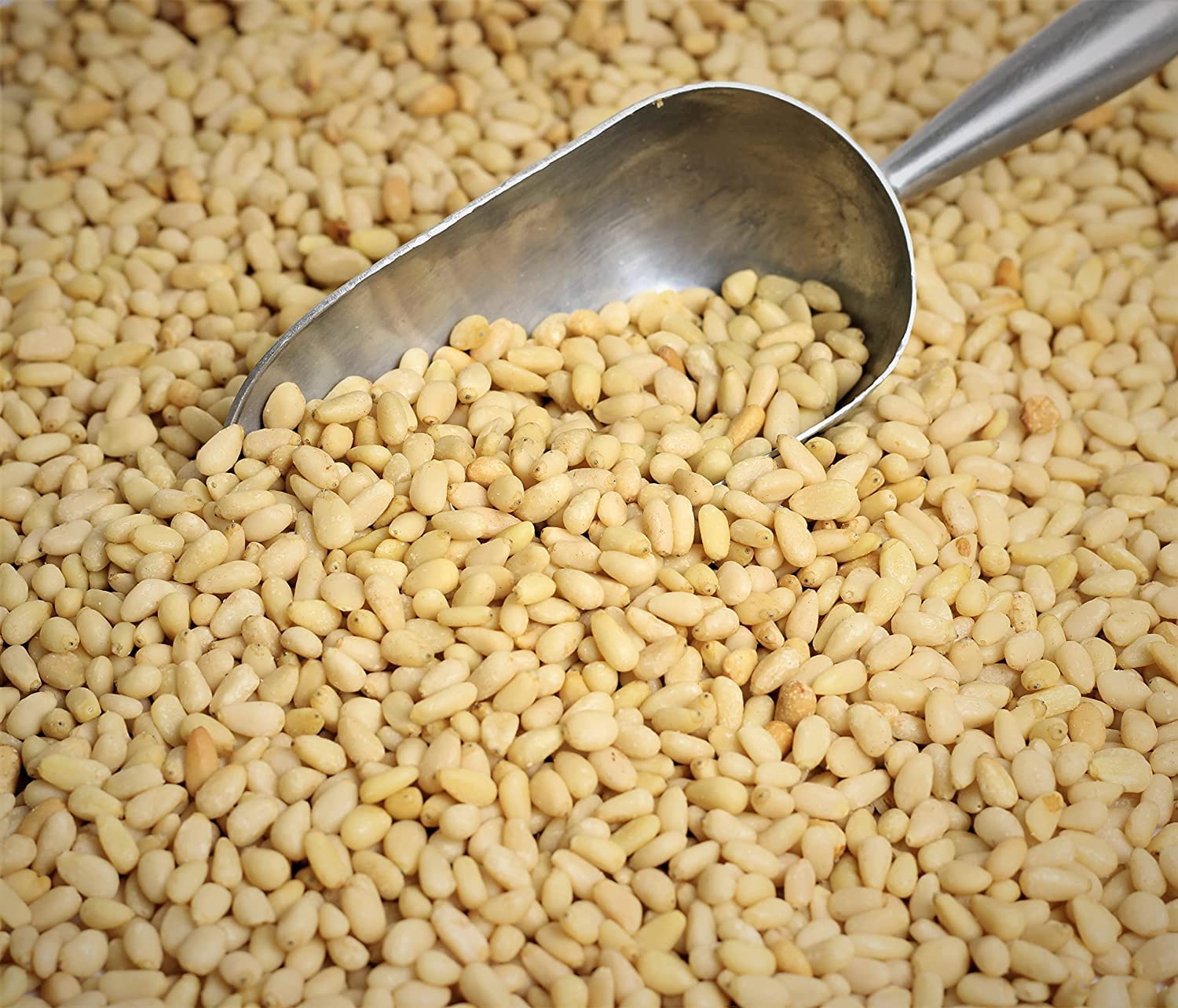 Raw Pine Nuts by It’s Delish, 1 lb Bulk | Unsalted Raw Pine Nuts for Baking, Pesto or Salads | Natural and Kosher Pine Nuts for Vegan Snacking
