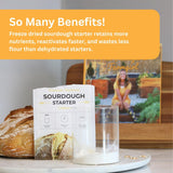 Better Bread Premium Heirloom Sourdough Starter Culture So Blessed Heirloom Style Freeze Dried Starter Culture for Baking Sourdough Bread | Perfect