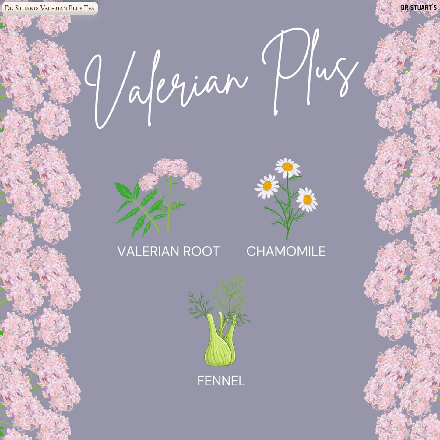 Dr Stuart's Organic Valerian Plus Tea | Herbal Blend of Chamomile, Valerian Root & Fennel | Bedtime Tea Helps in Restful Sleep & Relaxation |