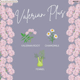 Dr Stuart's Organic Valerian Plus Tea | Herbal Blend of Chamomile, Valerian Root & Fennel | Bedtime Tea Helps in Restful Sleep & Relaxation |