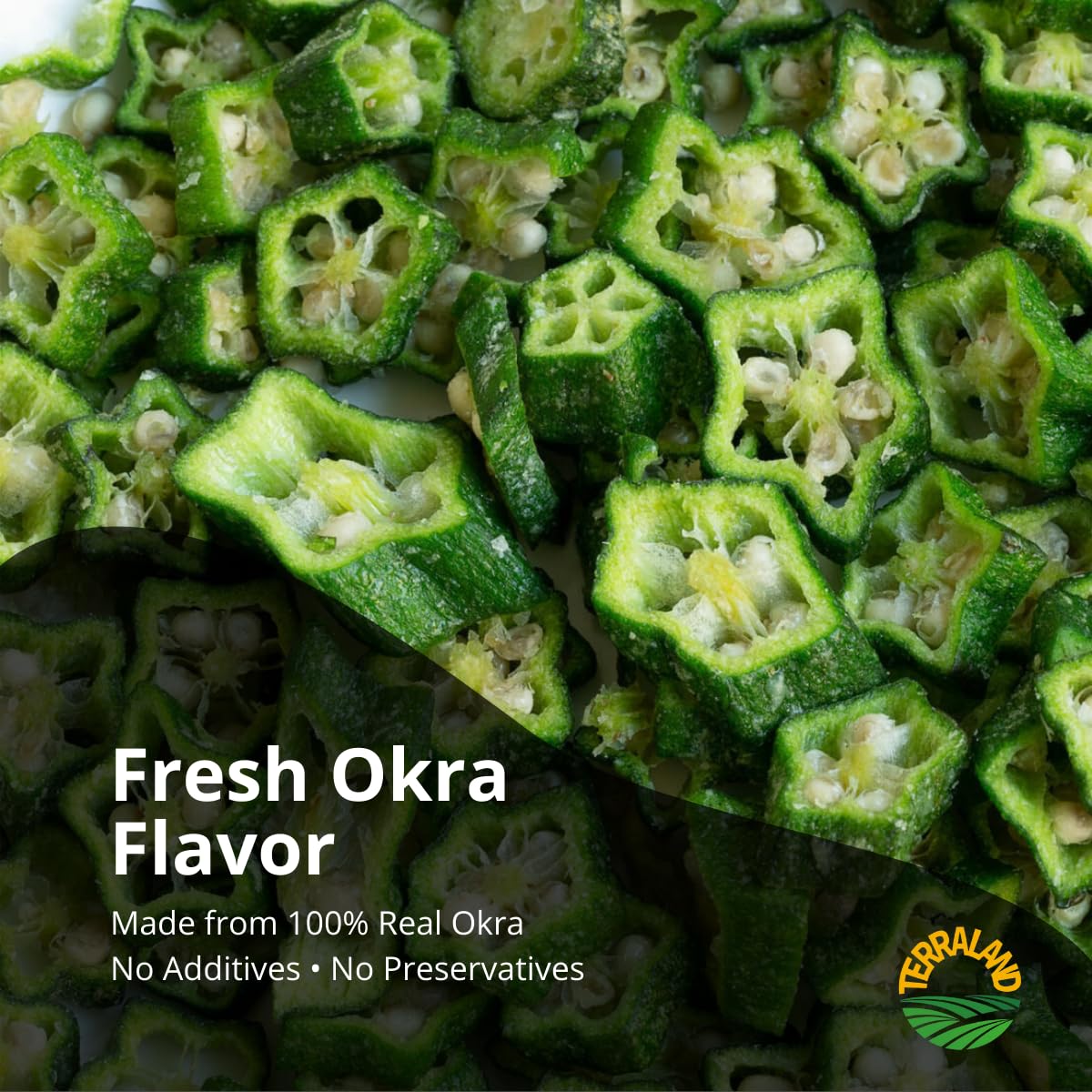 Terraland Okra Crispy Cubes-Sea Salt, Crispy & Crunch, Vegan, No Additives, Idea for Snacking or Pairing with Salad and Cereal 2oz Bag - Pack of 2