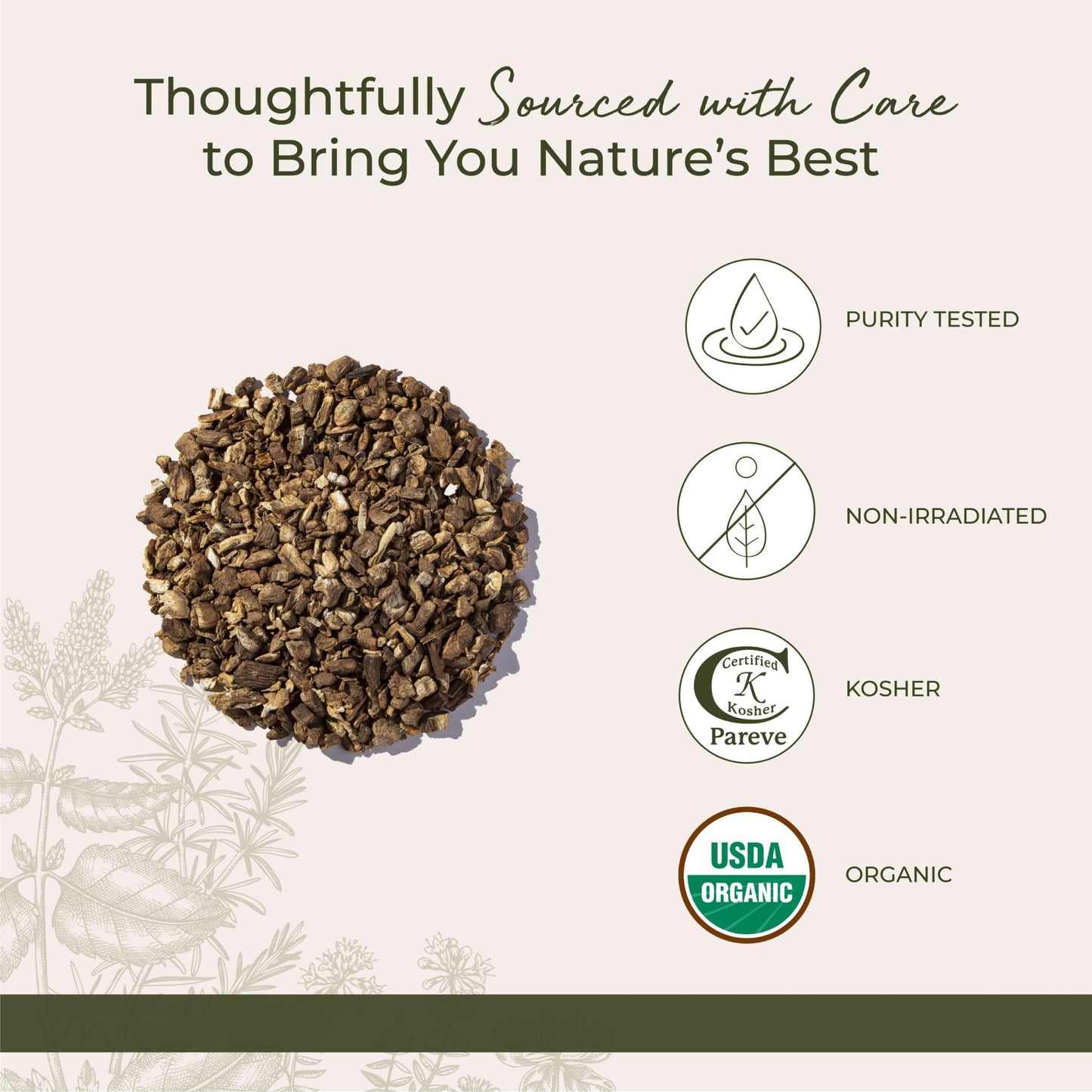 Organic Burdock Root C/S 1lb