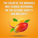 Dried Mango Slices - Juicy & Delicious, No Added Sugar, Non-GMO, Healthy Snack, Bulk Resealable Bag, 1 lb. Just About Foods Single Ingredient