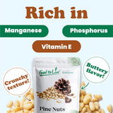 Food to Live - Pine Nuts, 5 Pounds Whole Raw Pignolias, Unsalted, Vegan, Kosher, Bulk. Rich in Vitamin E, Protein. Healthy Snack. Great for Pesto