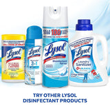 Lysol Disinfectant Spray, Household Cleaning Supplies, Disinfecting Multi-Purpose Room Spray, Antibacterial Sanitizer, Deodorizer, Kills Hantavirus
