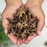 Flor de Manita Herbal Tea - Mexican Hand Tree (Chiranthodendron pentadactylon) - Net Wt. 113g (4oz) - 100% Natural, Sun-Dried, Wildcrafted