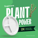100% Compostable, 3 Compartment [10-Inch] Disposable Paper Plates [125-Pack] Sectional Lunch Trays + Dividers - Divided Platter Tray - Heavy Duty