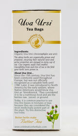CELEBRATION HERBALS Uva Ursi Tea Organic 24 Bag, 0.02 Pound