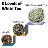TEARELAE - Silver Needle White Tea Loose Leaf - 4oz/113g - Chinese Yunnan Premium Loose White Tea Leaves - Bai Hao Yin Zhen - Low Caffeine - Gentle