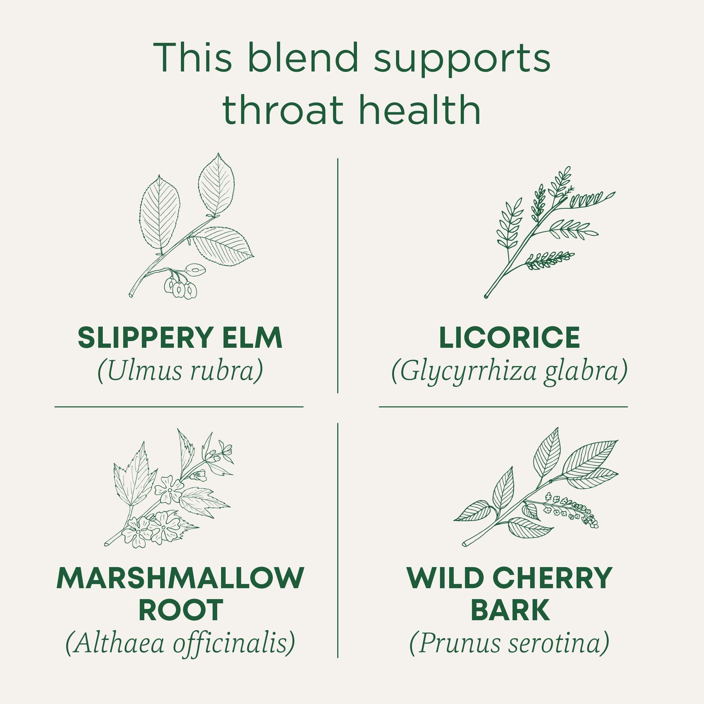 Traditional Medicinals Organic, Throat Coat Tea, Original with Slippery Elm - Supports Throat Health - Kosher, Non-GMO, Caffeine-Free, Compostable