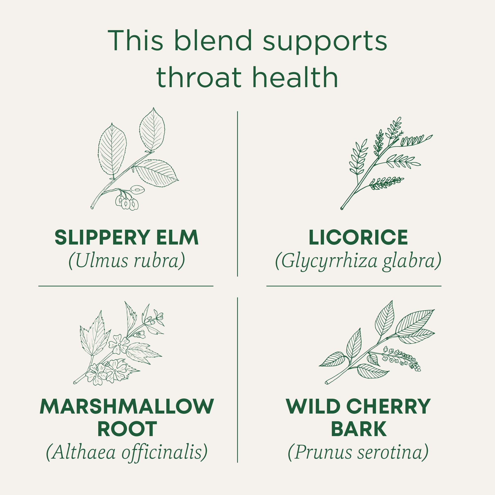 Traditional Medicinals Organic, Throat Coat Tea, Original with Slippery Elm - Supports Throat Health - Kosher, Non-GMO, Caffeine-Free, Compostable