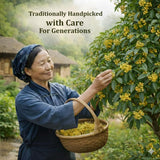 Green Hill Tea Osmanthus Flower Dried - Premium- Fragrant Osmanthus Dried Flowers -Loose Leaf Tea - 100% Pure, Natural, Non-GMO - Great for Brewing