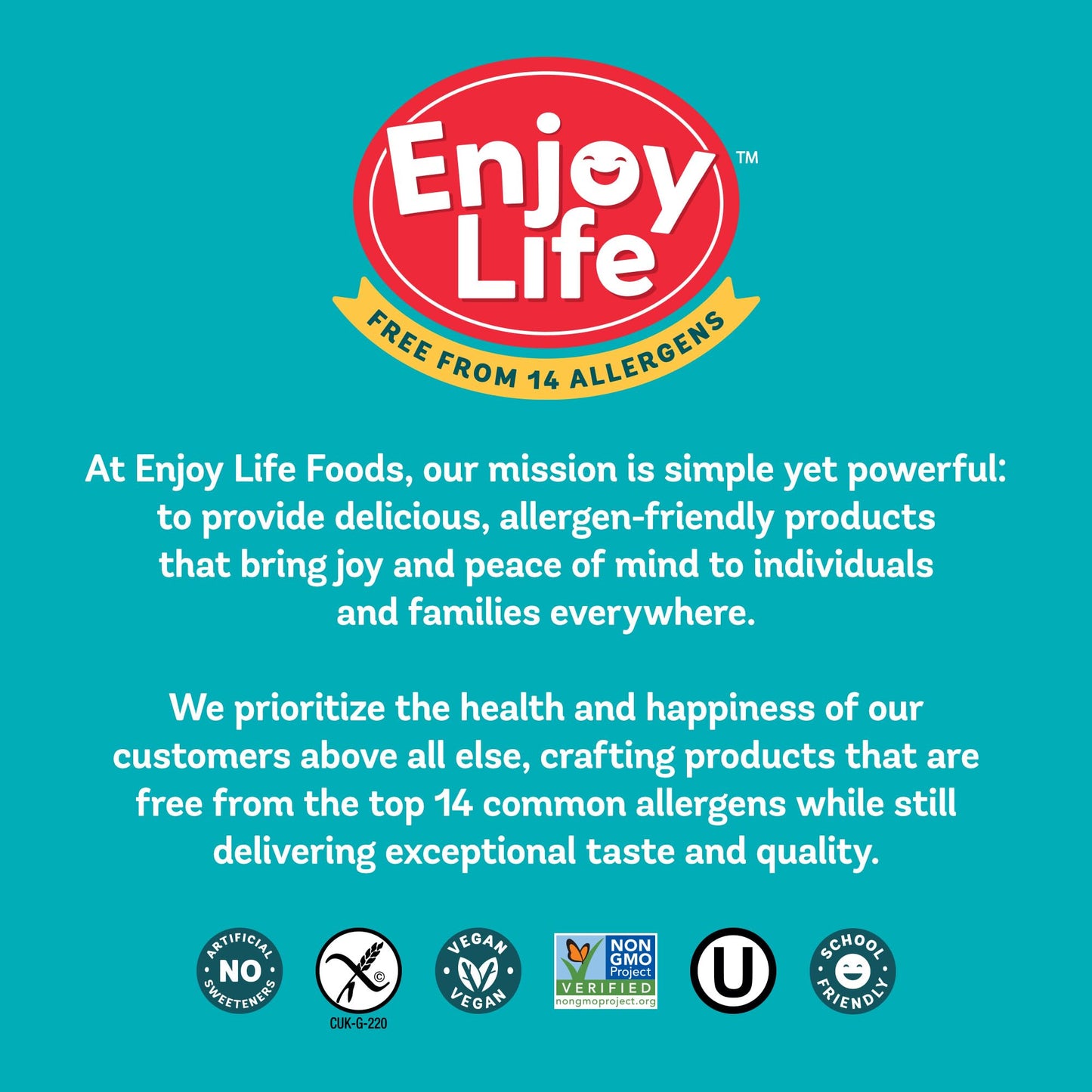 Enjoy Life Baking Dark Chocolate Morsels, Dairy Free , Soy Free, Nut Free, Non GMO, Gluten Free, Vegan Chocolate Chips, 9 oz bag