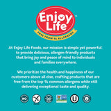 Enjoy Life Baking Dark Chocolate Morsels, Dairy Free , Soy Free, Nut Free, Non GMO, Gluten Free, Vegan Chocolate Chips, 9 oz bag