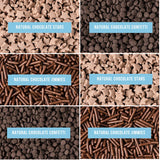 Sweets Indeed Dye Free Chocolate Sprinkles 6 Cell Jar - No Artificial Dyes Quins, Jimmies and Star Sprinkles for Baking & Decorating Cupcakes