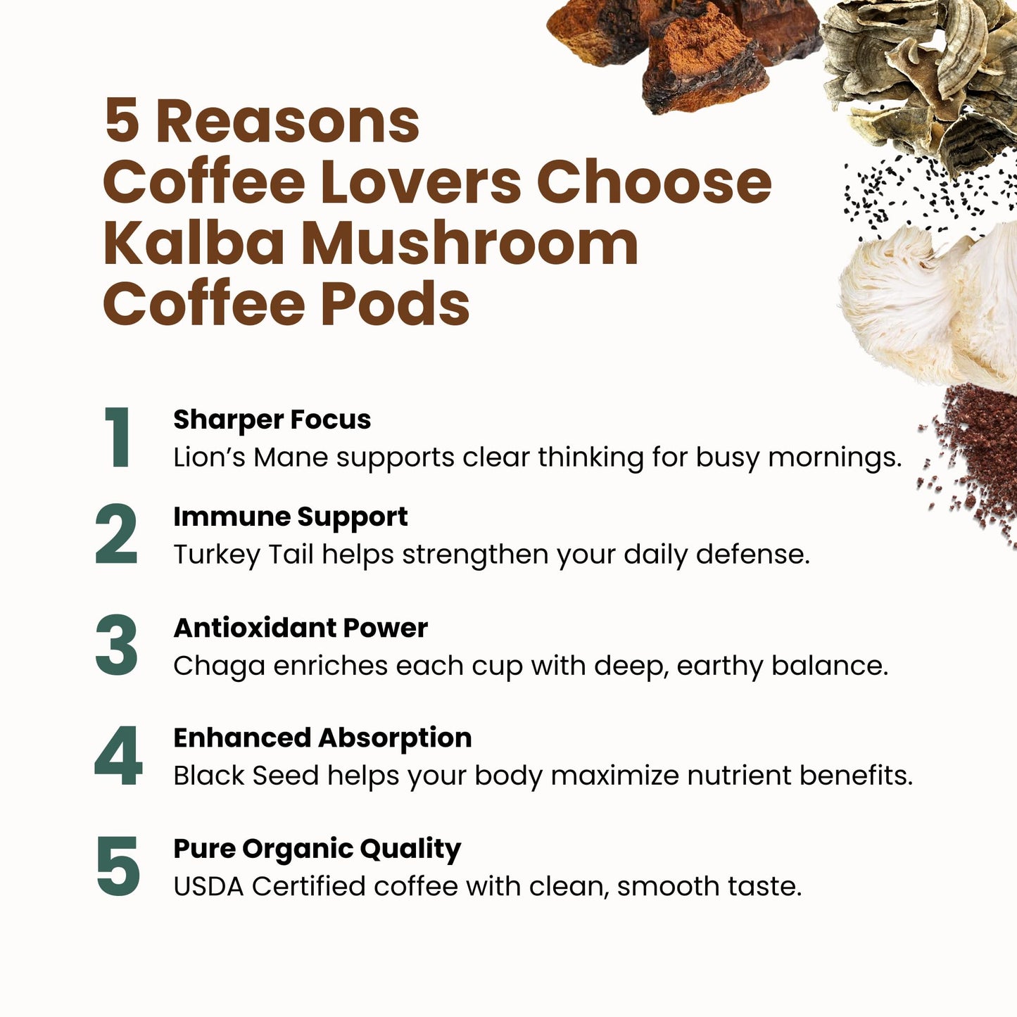 Organic Mushroom Coffee Pods with Lion’s Mane, Chaga, Turkey Tail & Nigella Seed - Medium Roast Functional Wellness Coffee Pods for Focus, Calm Energy