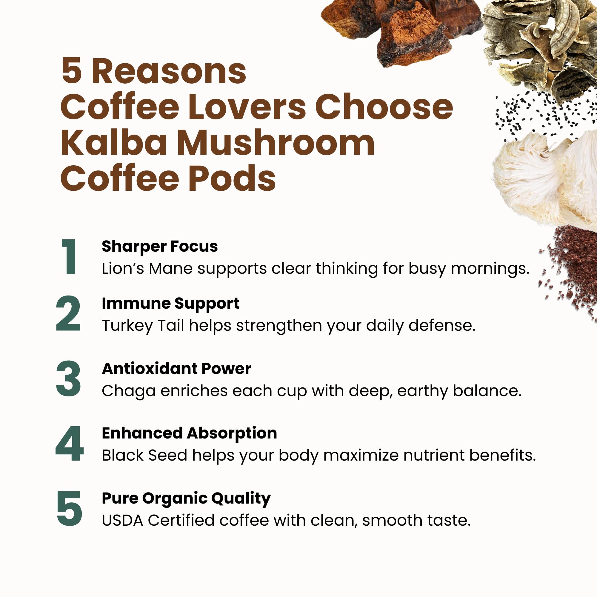 Organic Mushroom Coffee Pods with Lion’s Mane, Chaga, Turkey Tail & Nigella Seed - Medium Roast Functional Wellness Coffee Pods for Focus, Calm Energy