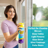 Invisible Glass 91160 Premium Aerosol Glass and Window Foaming Cleaner Spray - Cleans Glass, Windows, Mirrors, Shower Doors, and More - Streak-Free