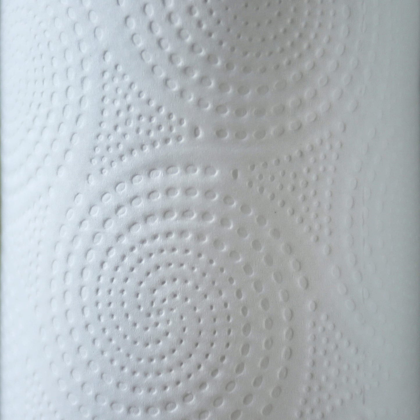 Genuine Joe Household Paper Towels, 200 Count (Pack of 24)