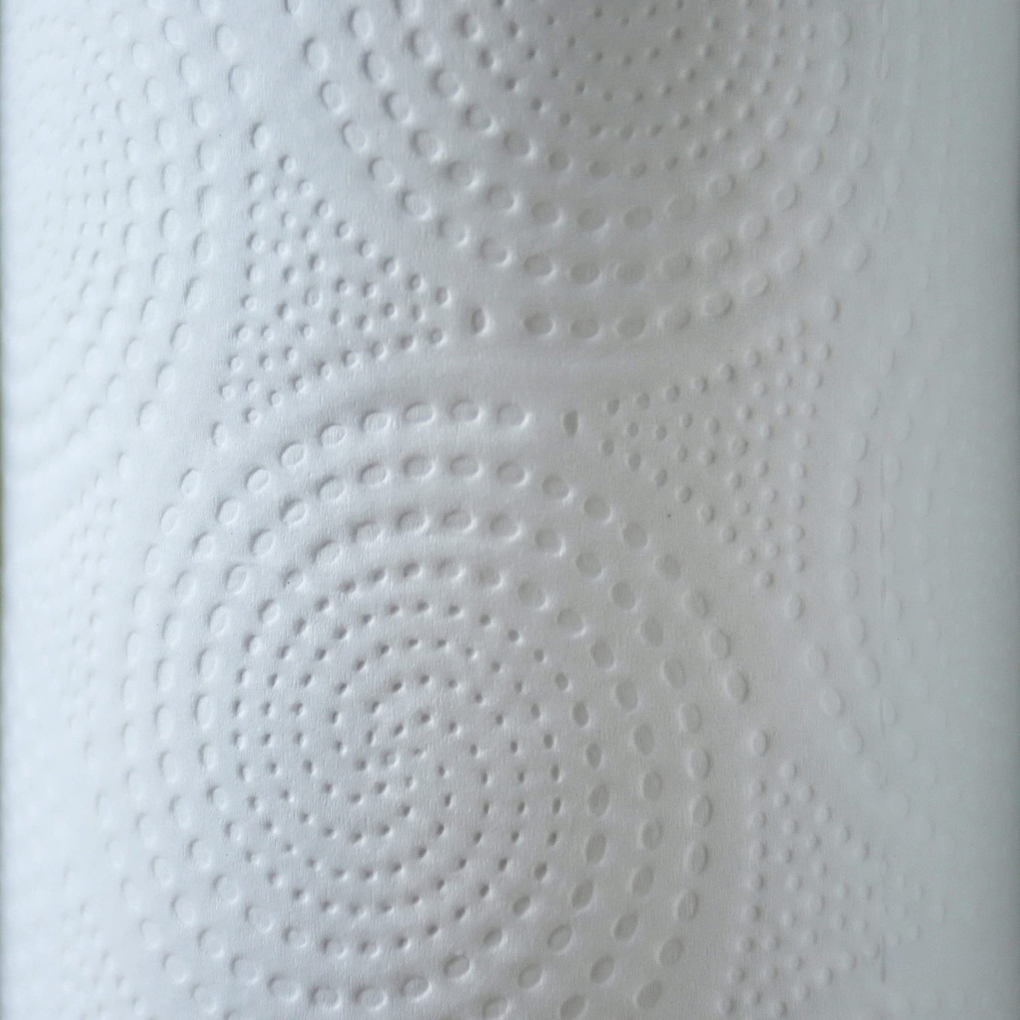 Genuine Joe Household Paper Towels, 200 Count (Pack of 24)