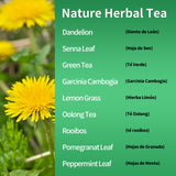 Herbmood 30 Day Detox Tea for body Cleanse, Te de Diente de Leon & cola de caballo Organico Natural, Limpieza de Colon y Desintoxicar, Digestive