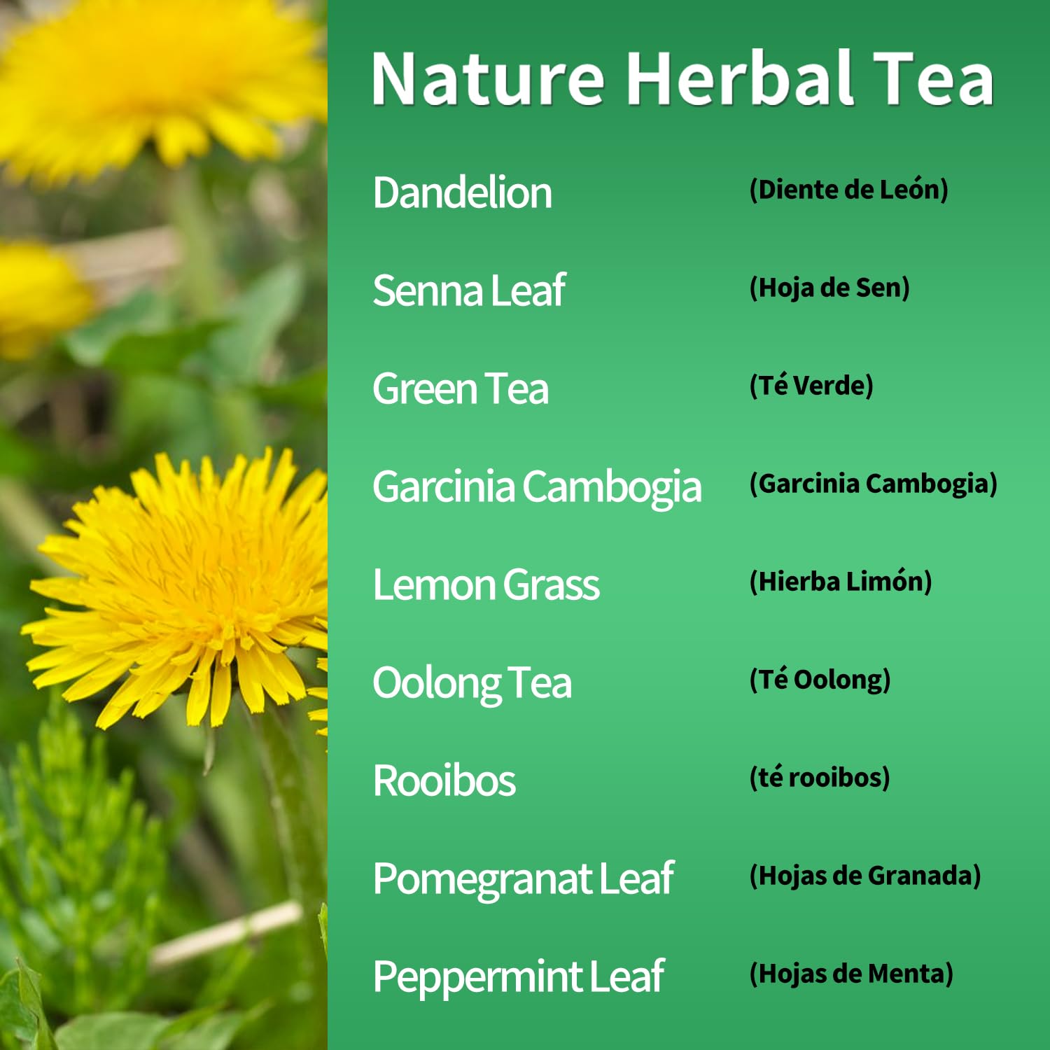 Herbmood 30 Day Detox Tea for body Cleanse, Te de Diente de Leon & cola de caballo Organico Natural, Limpieza de Colon y Desintoxicar, Digestive