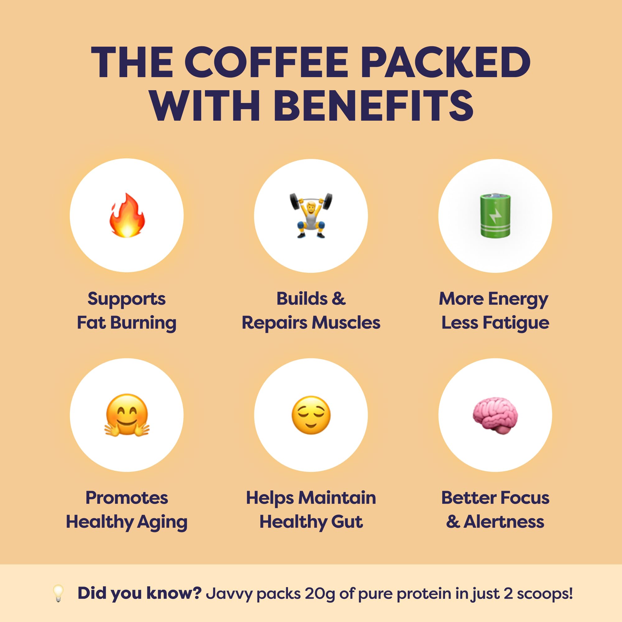 Javvy Protein Coffee Powder - Whey Protein Powder with Arabica Coffee, Zero Artificial Flavors & Sweeteners, 80 mg Caffeine, No Added Sugar, 20