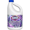 Clorox Scentiva Scented Bleach, Lavender and Jasmine, 81 Fluid Ounces