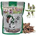 Hapsmiley Wild Prunella Spike Dried (xia ku cao/???), Self Heal (Prunella vulgaris L), Bulk (Cut and Sifted), Natural 100% Health Tea (2 Oz / 60g)