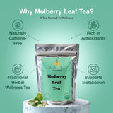 Zi Chun Tea | Organic White Mulberry Leaf Tea Morus alba | Premium Loose Leaf Herbal Tea, Whole Mulberry Leaves, Naturally Caffeine-Free, Herb Hoja de