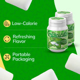 Choward's Spearmint Sugar-Free Gum | Unique Aromatic Flavors for Everyday Freshness | Long-Lasting Flavor | Soft Chew | Portable Bottle for On the Go