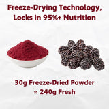 NAT FLAV Freeze Dried Blackberry Powder - 100% Natural, No Added Sugar, No Additives | 7oz | Vibrant Superfood for Smoothies, Baking & Natural