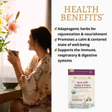 DelighTeas Tulsi Holy Basil Tea | Eco-Conscious Pyramid Tea Bags | Ayurvedic Tulsi, Ashwagandha Adaptogen Blend | USDA Organic, Caffeine Free, Kosher