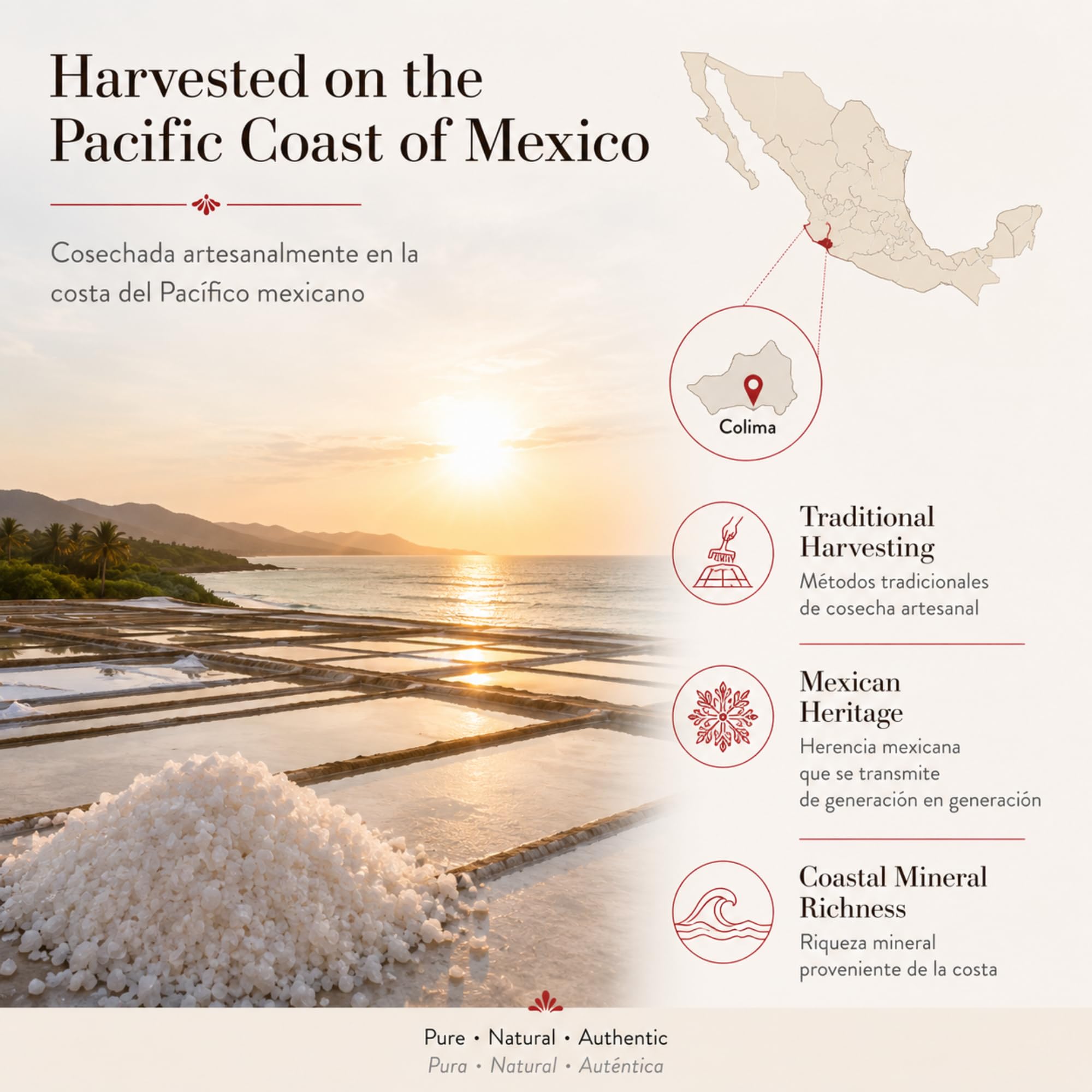 Sal de Colima Handcrafted Sea Salt Kosher 226g (0.5 lb) | Sal de Mar Artesanal Mexicana Natural | Gourmet Cooking Salt, Mineral Rich, Unrefined Sea