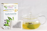 CELEBRATION HERBALS Green Tea Sencha Organic 24 Bag, 0.02 Pound