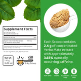 Yerba Mate Instant Tea - Boost Energy, Focus, Immunity & Cardio Health with Pure Organic Consentrated Extract - No Added Flavors or Sugars 120g (up