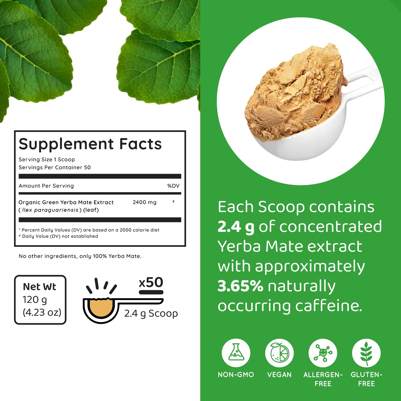 Yerba Mate Instant Tea - Boost Energy, Focus, Immunity & Cardio Health with Pure Organic Consentrated Extract - No Added Flavors or Sugars 120g (up