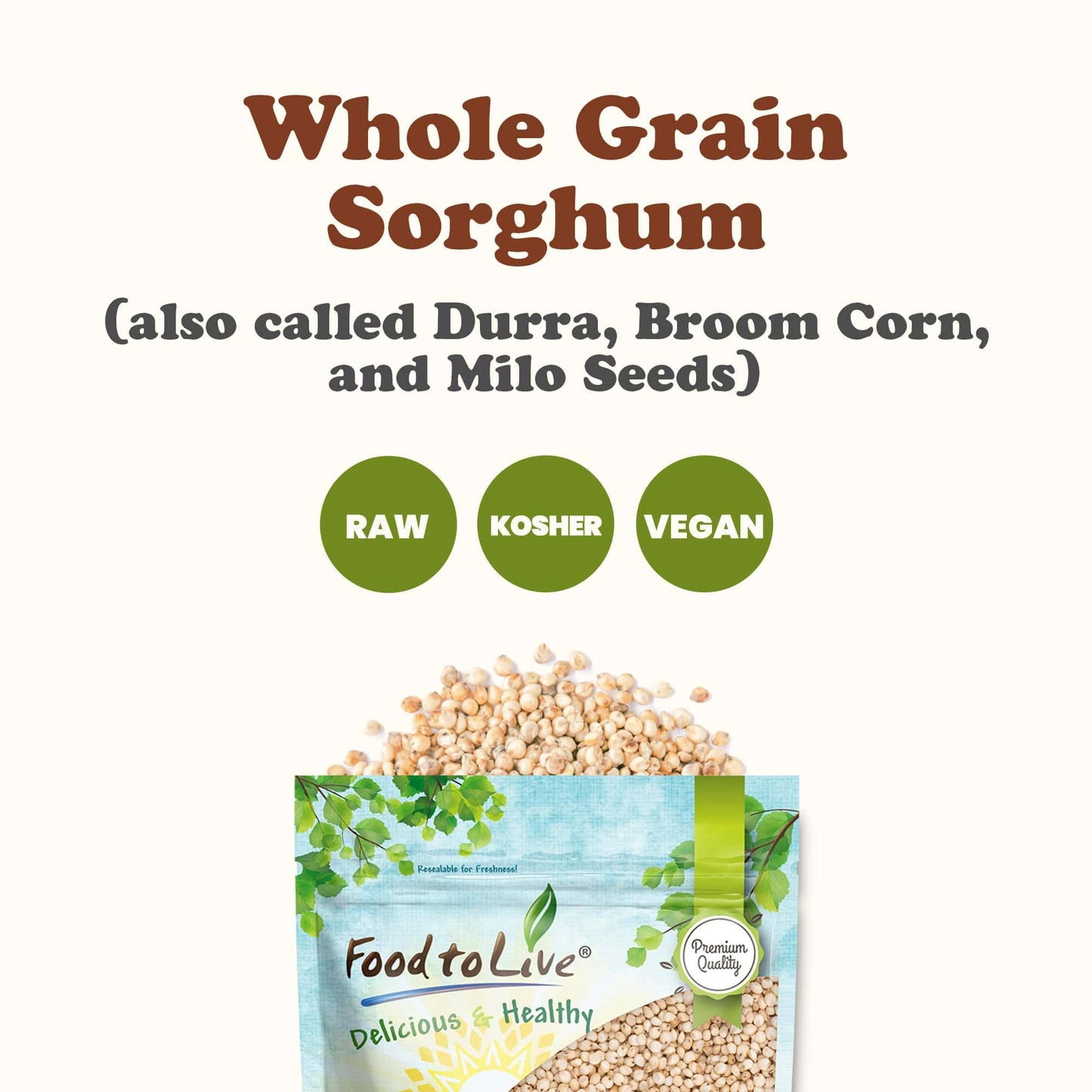 Food to Live Italian White Whole Grain Sorghum, 1 Pound - Premium White Groats. Raw Milo Seeds. Vegan, Bulk Broom-corn. Durra is Great for Making
