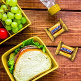 SNICKERS Fun Size Peanut Butter, Caramel & Peanuts Milk Chocolate Bars Individually Wrapped Candy Bars, Sharing Size, 8.29 Oz Bag
