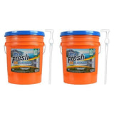 Ultra Fresh 6X Platinum 5 Gallon Laundry Detergent Liquid for All Machine Types with Easy Dispensing Pump, Up to 640 Loads, Original Blue (2 Pack)