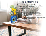 OxiClean Carpet Stain Remover - 24oz