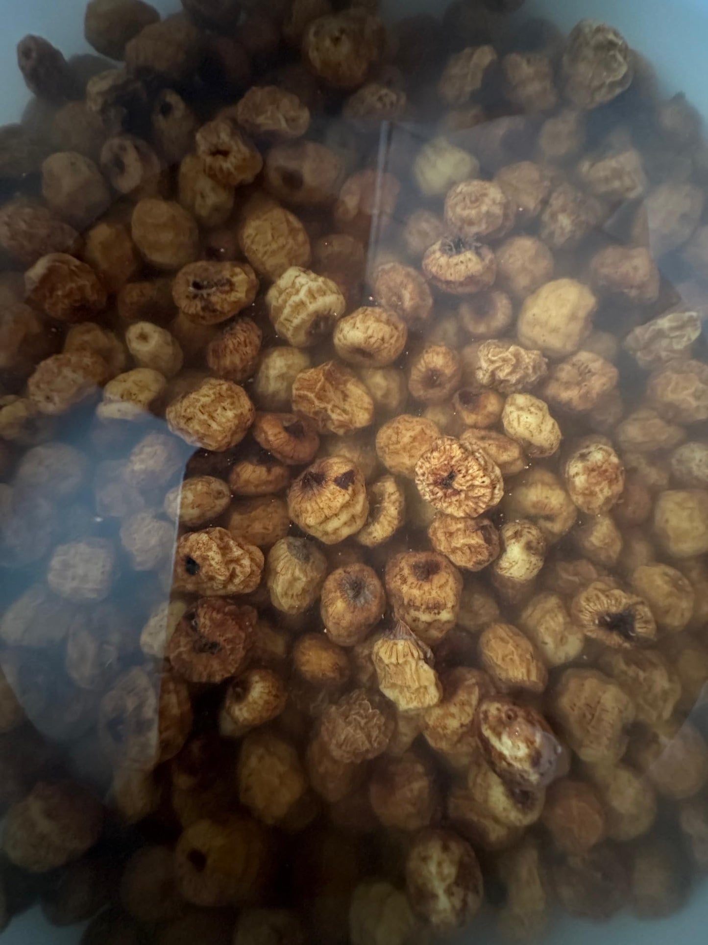 Whole Tiger Nuts (Chufa), Raw Dried Tigernuts for Snacking, Soaking & Cooking, Naturally Sweet, Unsweetened Culinary Ingredient, Product of Ghana, 8