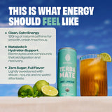 Mateina Organic Mint Limeade Yerba Mate, 12 FZ