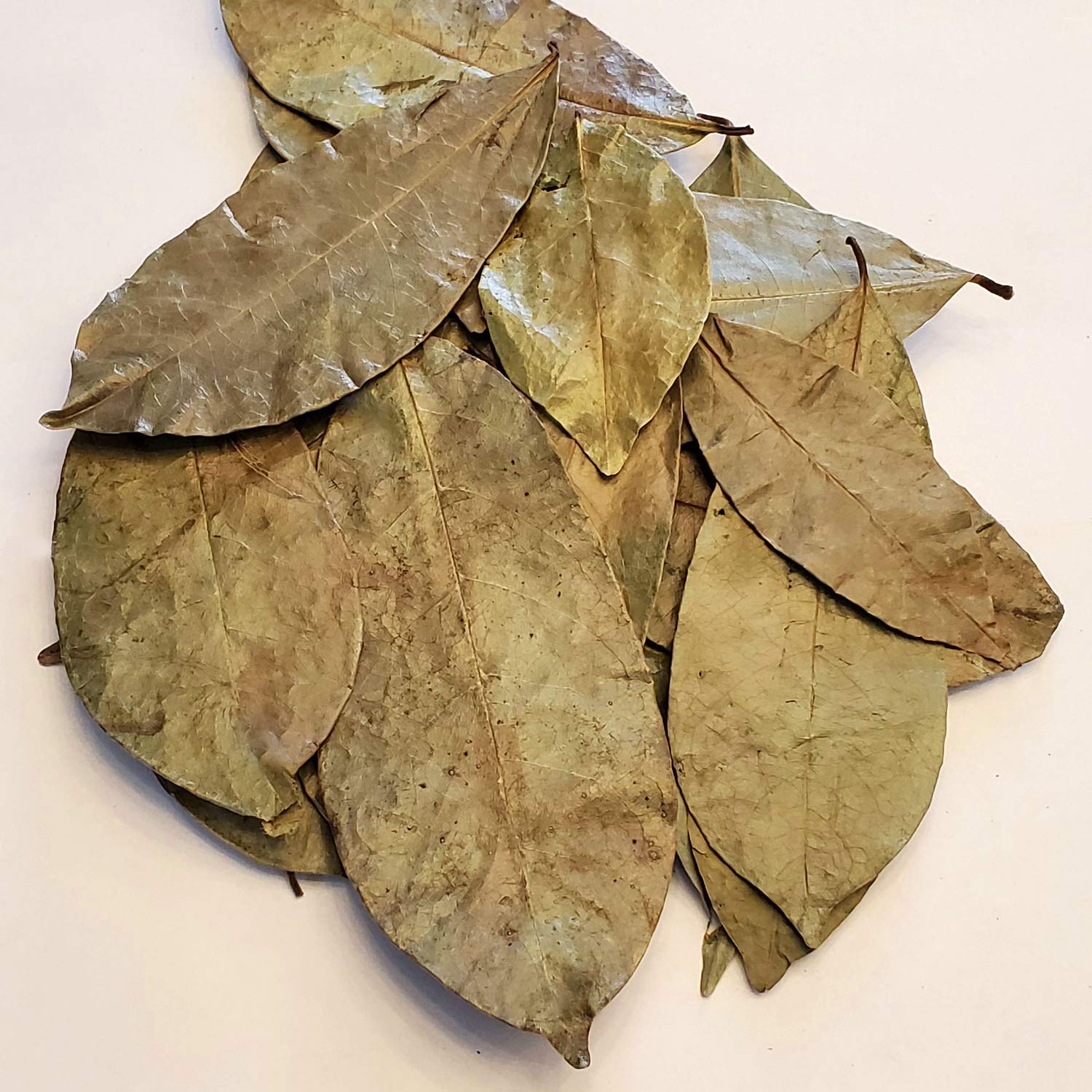 Zokiva Nutritionals - Soursop Leaves Hojas De Guanabana 1 oz x 3 Pack of Graviola Leaves for Tea - A Natural Caffeine - Free Bioavailable Superfood