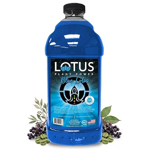 Blue Lotus Plant Power® Energy Drink Concentrate | Natural Caffeine & PP7™ Formula | Plant-Based Organic Ingredients | Organic Cane Sugar Beverage |
