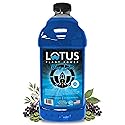 Blue Lotus Plant Power® Energy Drink Concentrate | Natural Caffeine & PP7™ Formula | Plant-Based Organic Ingredients | Organic Cane Sugar Beverage |